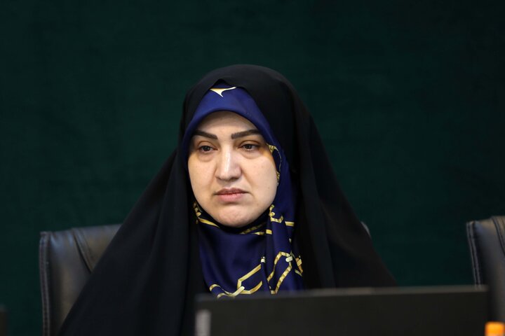 جلسه مجازس صحن 17 خرداد