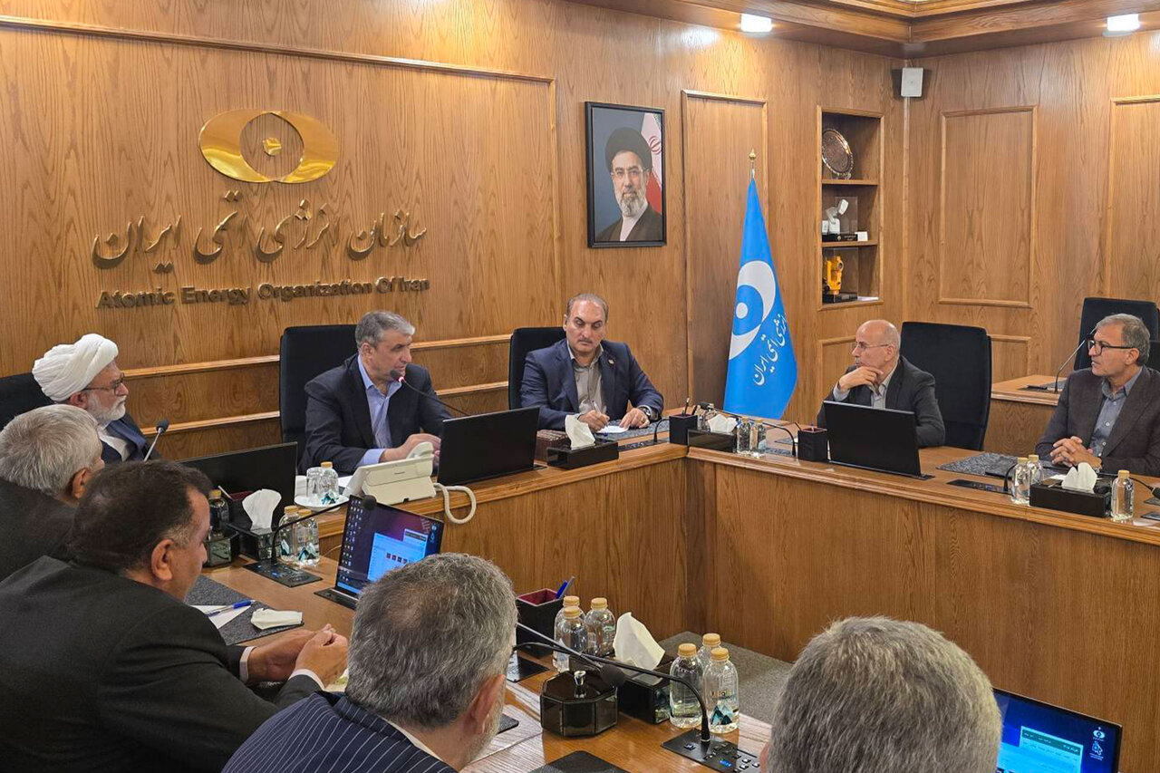 تأکید احمد مرادی جهت جلوگیری از خاموشی در مناطق گرمسیر و تأمین پایدار برق صنایع/پیشنهاد نامگذاری نیروگاه اتمی هرمزگان به نام «شهدای شجره طیبه»