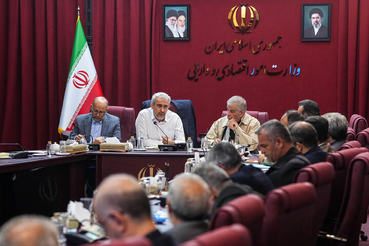 نشست کمیسیون شوراهای مجلس با وزیر اقتصاد