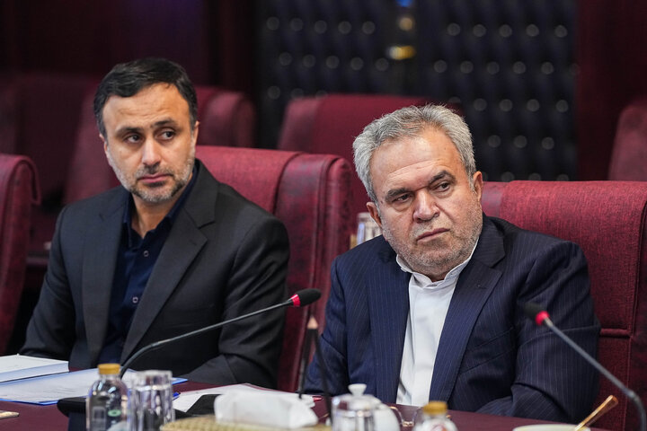 نشست کمیسیون شوراهای مجلس با وزیر اقتصاد
