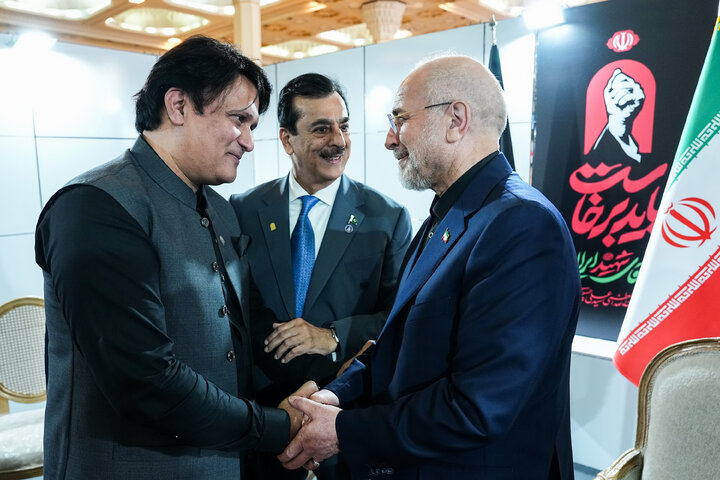 دیدار رئیس مجلس سنای پاکستان با دکتر قالیباف