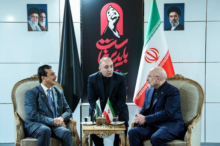 دیدار رئیس مجلس سنای پاکستان با دکتر قالیباف