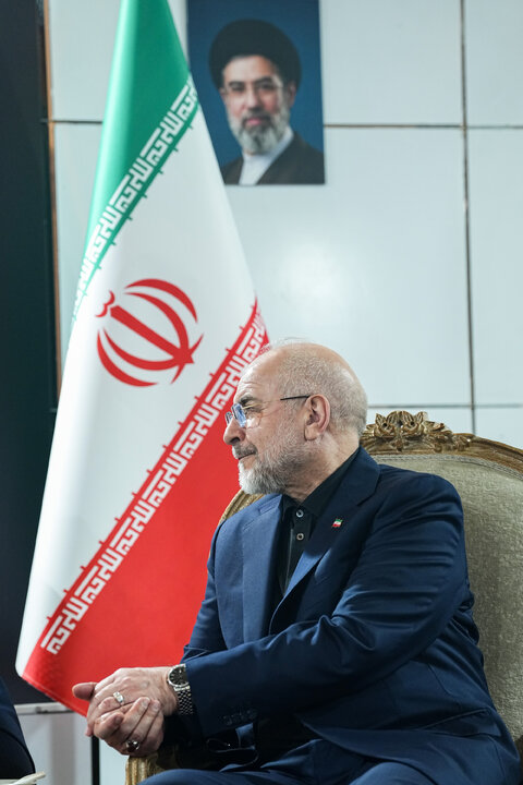 دیدار رئیس مجلس سنای پاکستان با دکتر قالیباف