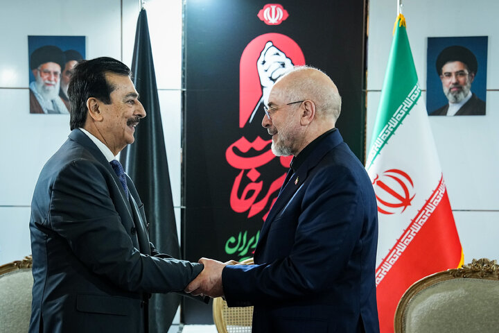 دیدار رئیس مجلس سنای پاکستان با دکتر قالیباف