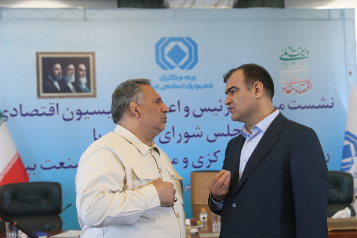 نشست کمیسیون اقتصادی مجلس با حضور رئیس بیمه مرکزی