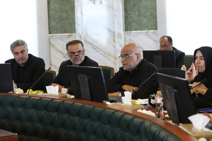 نشست کمیسیون اقتصادی مجلس با حضور رئیس بیمه مرکزی