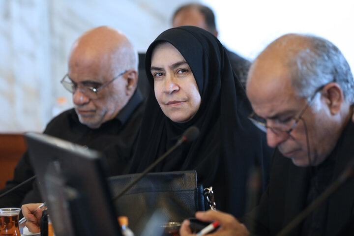 نشست کمیسیون اقتصادی مجلس با حضور رئیس بیمه مرکزی