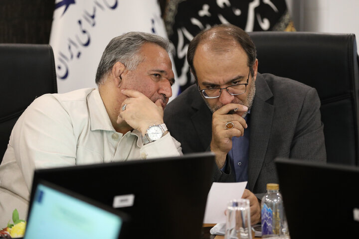 نشست مشترک کمیسیون اقتصادی مجلس با وزیر امور اقتصادی
