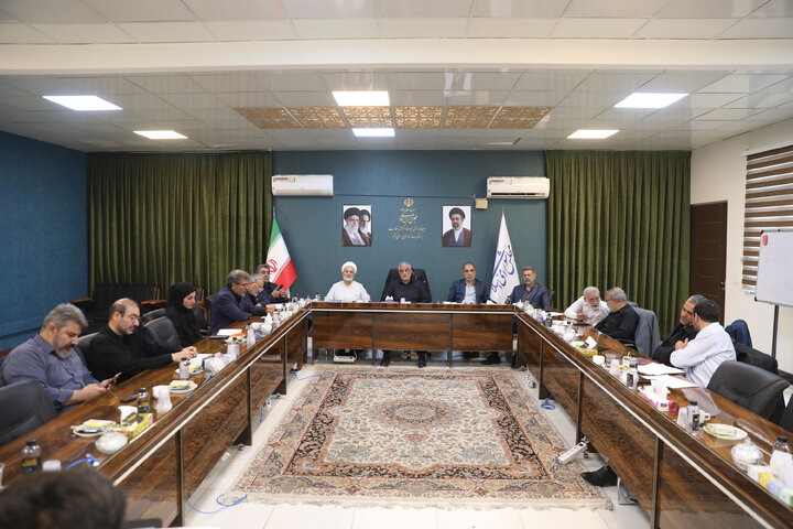 نشست کمیسیون امور داخلی کشور و شوراهای مجلس