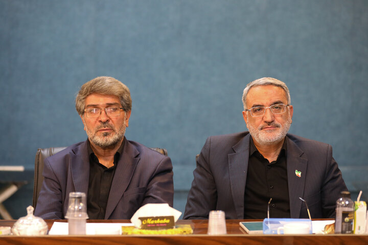 نشست کمیسیون امور داخلی کشور و شوراهای مجلس