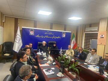 کمیسیون بهداشت مجلس پیگیر رفع کمبود ۴۳ قلم دارو در هرمزگان است