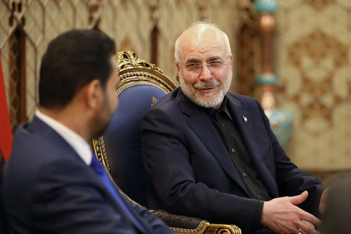 دیدار نخست وزیر عراق با رئیس مجلس شورای اسلامی