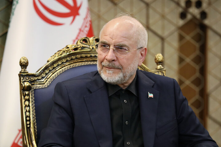 دیدار نخست وزیر عراق با رئیس مجلس شورای اسلامی
