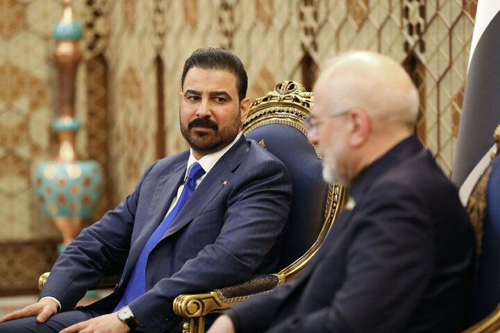 دیدار نخست وزیر عراق با رئیس مجلس شورای اسلامی