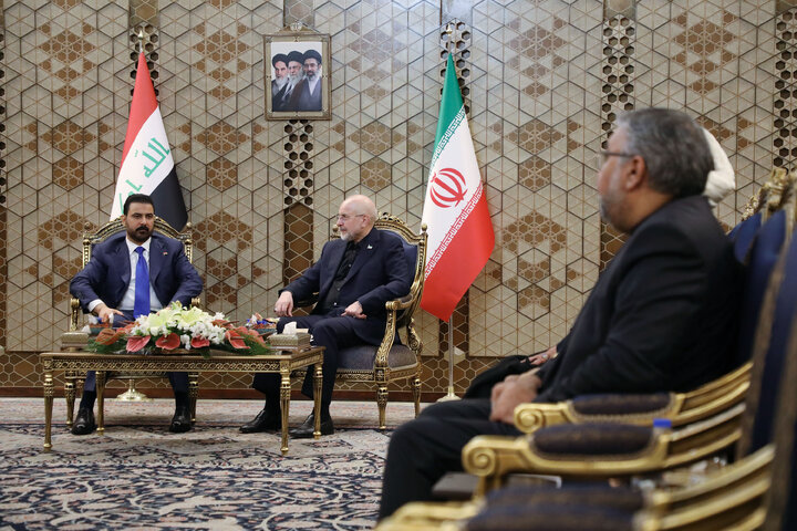 دیدار نخست وزیر عراق با رئیس مجلس شورای اسلامی