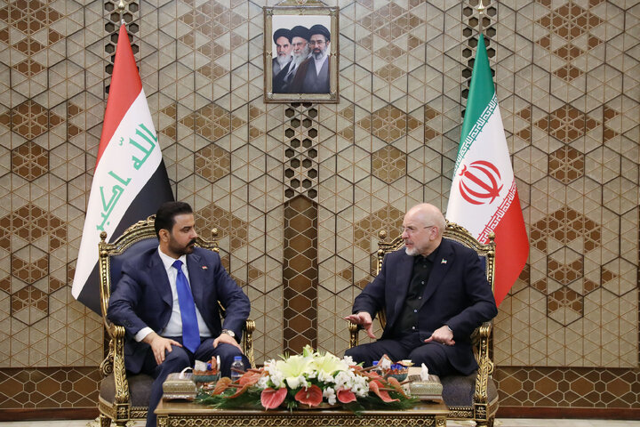 دیدار نخست وزیر عراق با رئیس مجلس شورای اسلامی