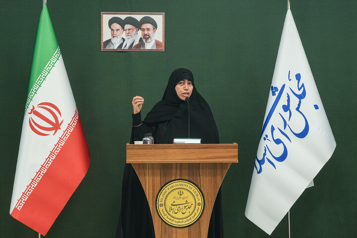 ناطقان میان دستور نشست علنی مجازی ۱۹ مرداد ماه مجلس شورای اسلامی
