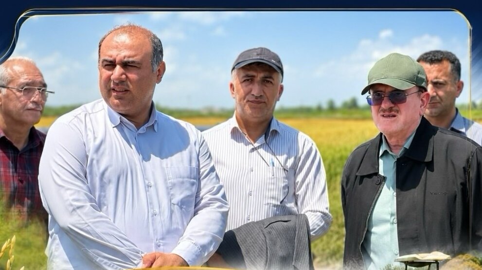 مهرداد لاهوتی