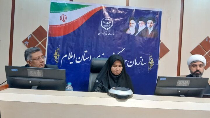 انتقاد نماینده ایلام از تعلل وزارت نیرو در پروژه سامانه گرمسیری