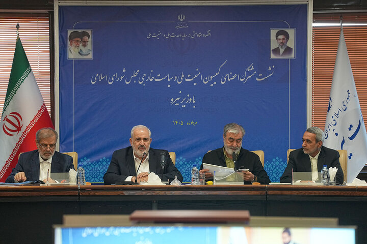نشست مشترک کمیسیون امنیت ملی مجلس با وزیر نیرو