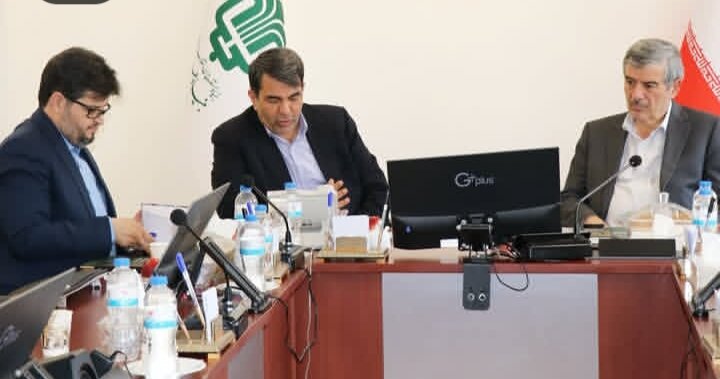 نشست سلیمانی با مدیر عامل بنیاد علوی/تاکید بر تسریع در اجرای طرح توسعه و پیشرفت شهرستان ارزوئیه