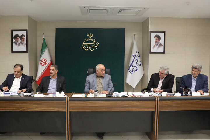 کمیته آموزش عالی و پزشکی کمیسیون آموزش با حضور رییس دانشگاهای ملی مهارت و علمی  کاربردی