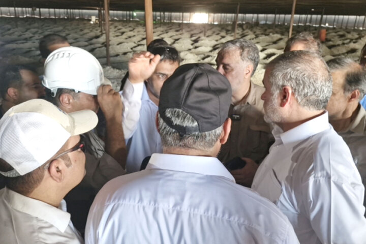 بازدید نیکزاد از پایانه نفتی جزیره خارک