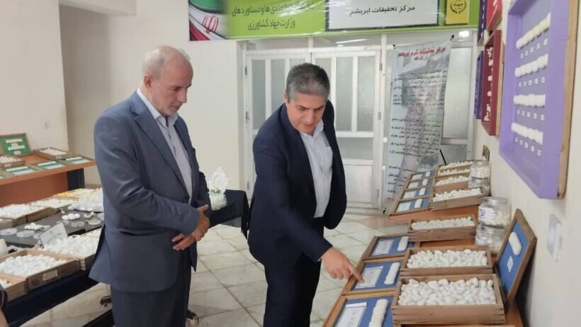 بازدید کوچکینژاد از مرکز تحقیقات ابریشم کشور