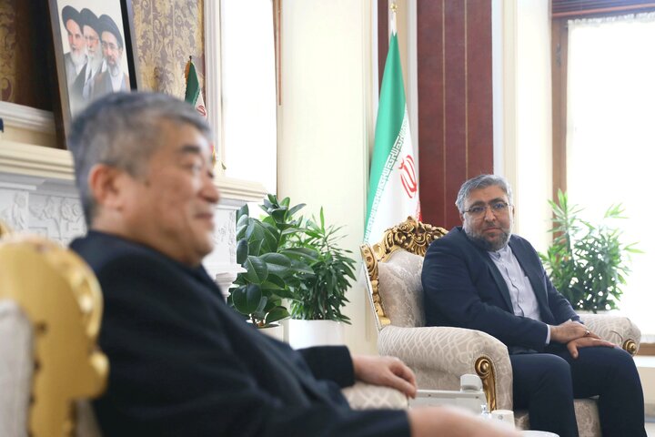 دیدار نماینده مجلس مشاوران ژاپن با عمویی