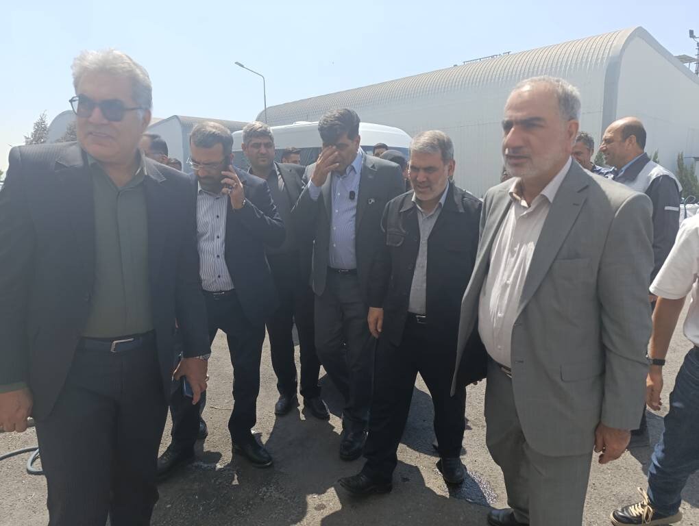 بازدید