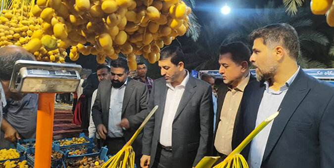 ظرفیت نخلستان‌های خوزستان باید به فرصت اشتغال و رونق اقتصادی تبدیل شود