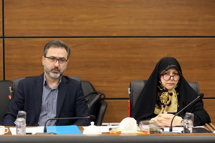 نشست کمیته نحوه نظارت بر اجرای سیاست های کلی اصل 44 قانون اساسی مجلس