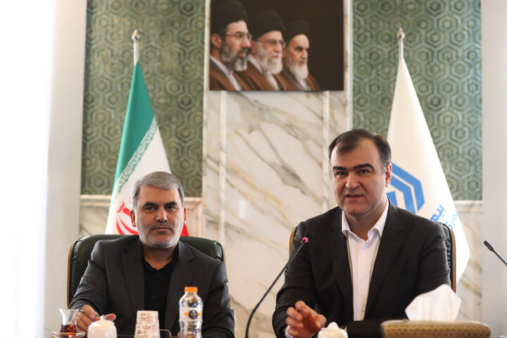 نشست کمیسیون ویژه اصل 44 مجلس شورای اسلامی با رئیس کل بیمه مرکزی