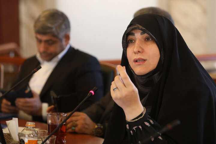 نشست کمیسیون ویژه اصل 44 مجلس شورای اسلامی با رئیس کل بیمه مرکزی