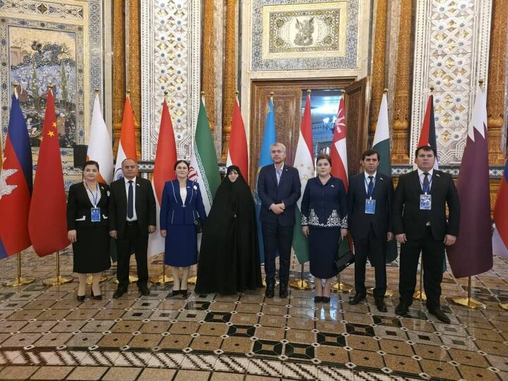 حضور هیئت پارلمانی ایران در نشست کمیته امور اجتماعی و فرهنگی APA - دوشنبه، تاجیکستان