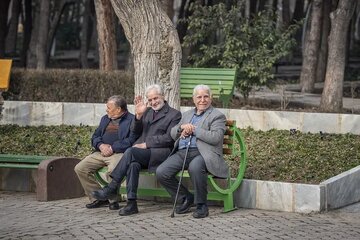 مجلس و دولت در بودجه به نیازهای بلندمدت سالمندان توجه کنند