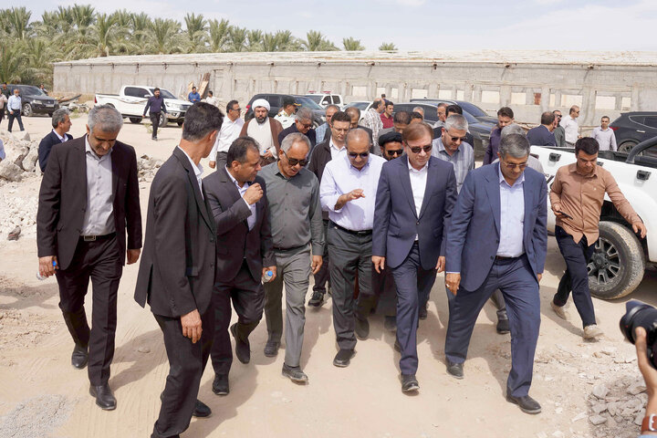 بازدید کمیسیون کشاورزی از واحدهای آسیب‌دیده شهرستان دشتستان