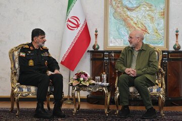 دشمن به دنبال ایجاد ناامنی در داخل کشور است