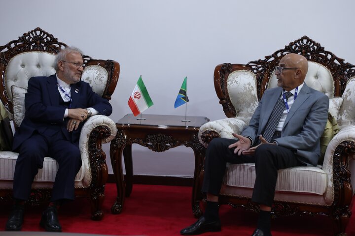 دیدار هیئت پارلمانی ایران با رئیس مجلس ملی تانزانیا