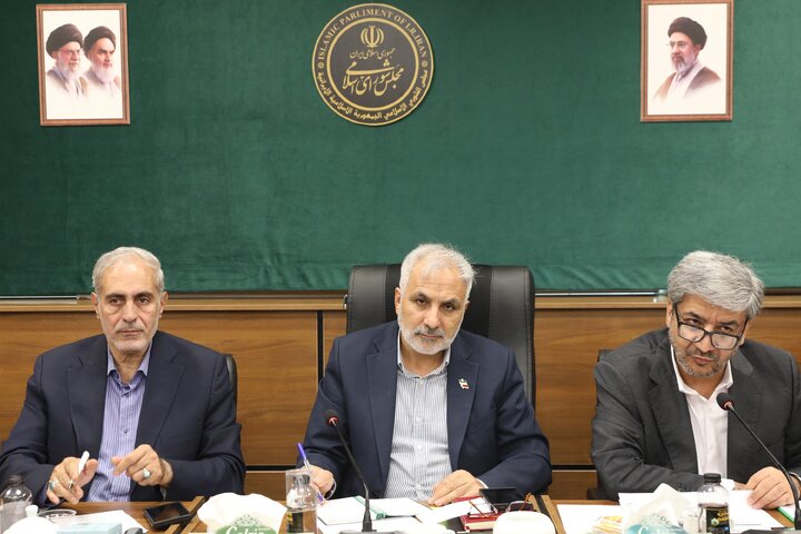 نشست کارگروه موارد خاص کمیسیون اجتماعی