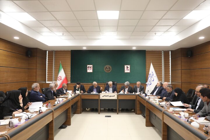 نشست کارگروه موارد خاص کمیسیون اجتماعی
