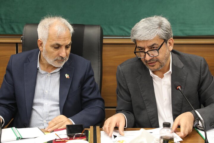 نشست کارگروه موارد خاص کمیسیون اجتماعی