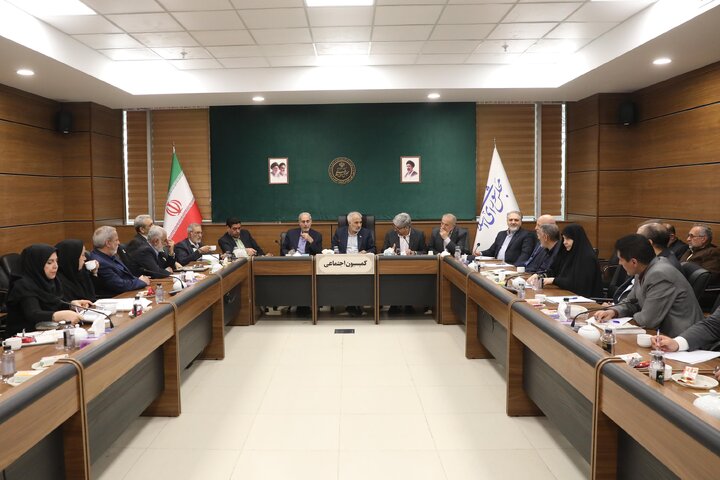 نشست کارگروه موارد خاص کمیسیون اجتماعی