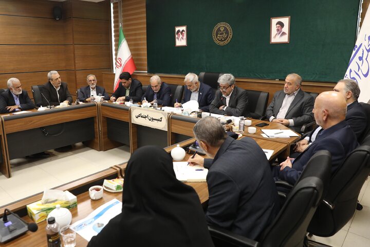 نشست کارگروه موارد خاص کمیسیون اجتماعی