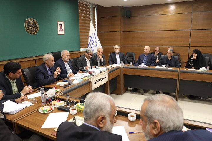 نشست کارگروه موارد خاص کمیسیون اجتماعی
