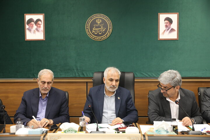 نشست کارگروه موارد خاص کمیسیون اجتماعی