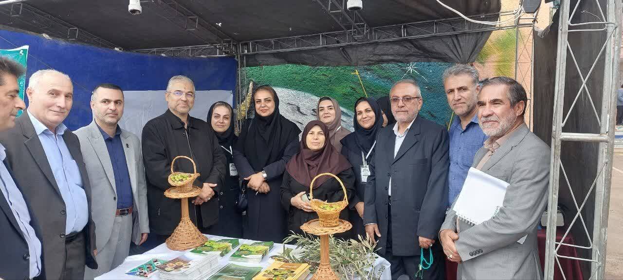 تاکید بر افزایش سهم ایران از بازار جهانی غذای حلال / حمایت مجلس از مطالبات آشپزان و سرآشپزان