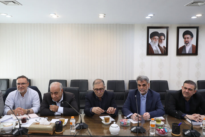 نشست مشترک استاندار همدان با مجمع نمایندگان این استان در مجلس