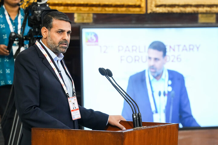 حضور هیئت پارلمانی ایران در نشست چهارم مجمع پارلمانی بریکس - هند