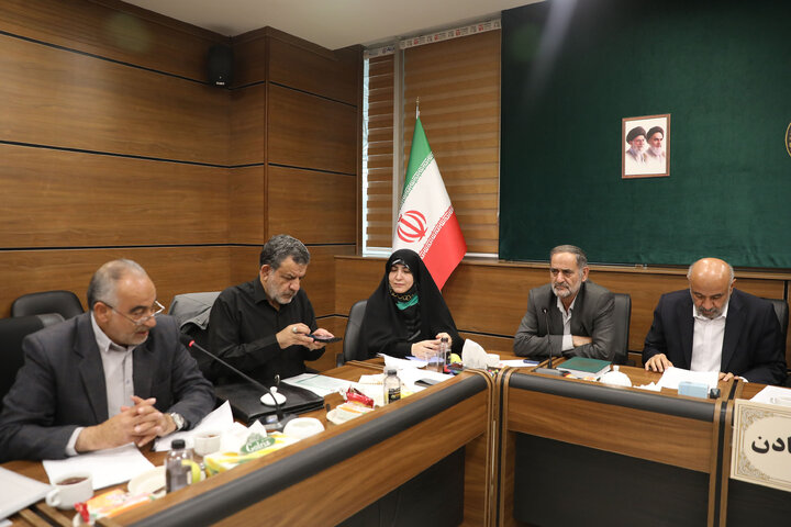 نشست کمیسیون صنایع و معادن با حضور وزیر کار